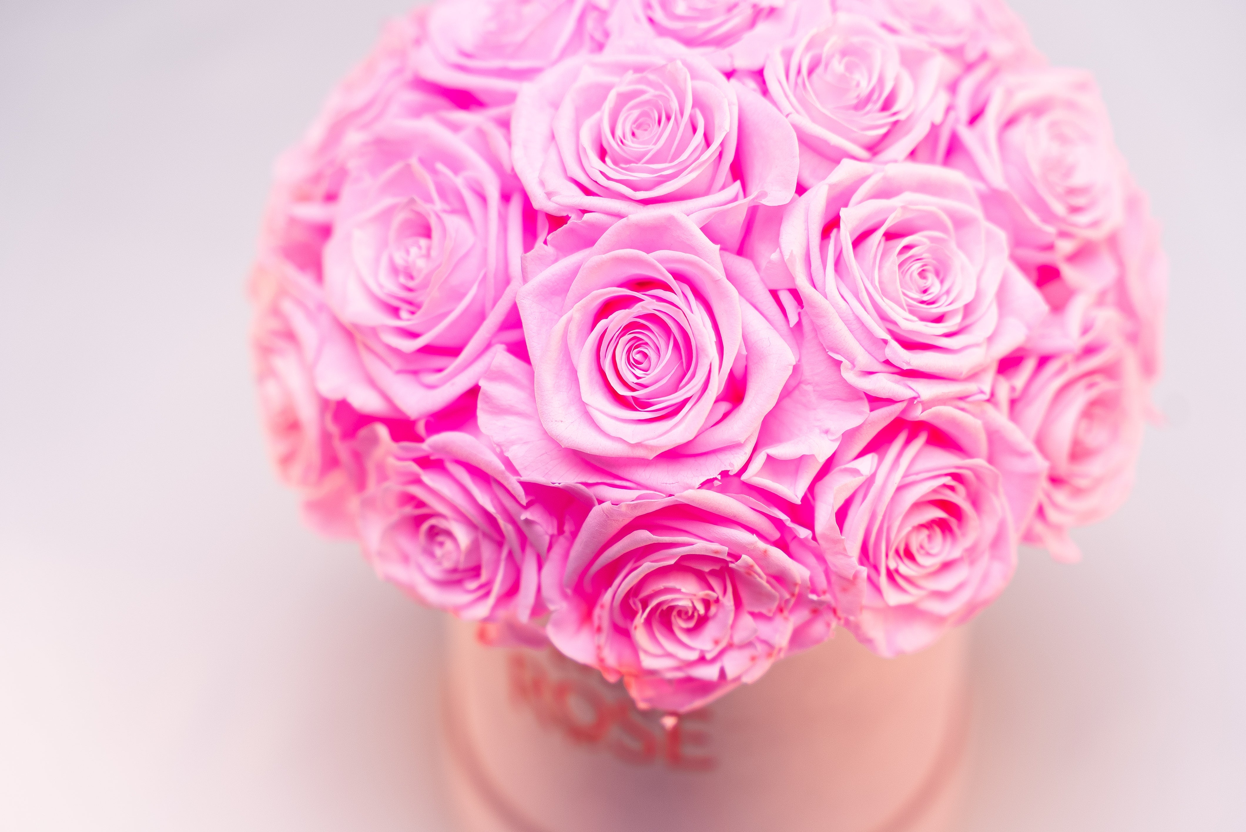 Domo de rosas preservadas Ever Rose — o presente perfeito