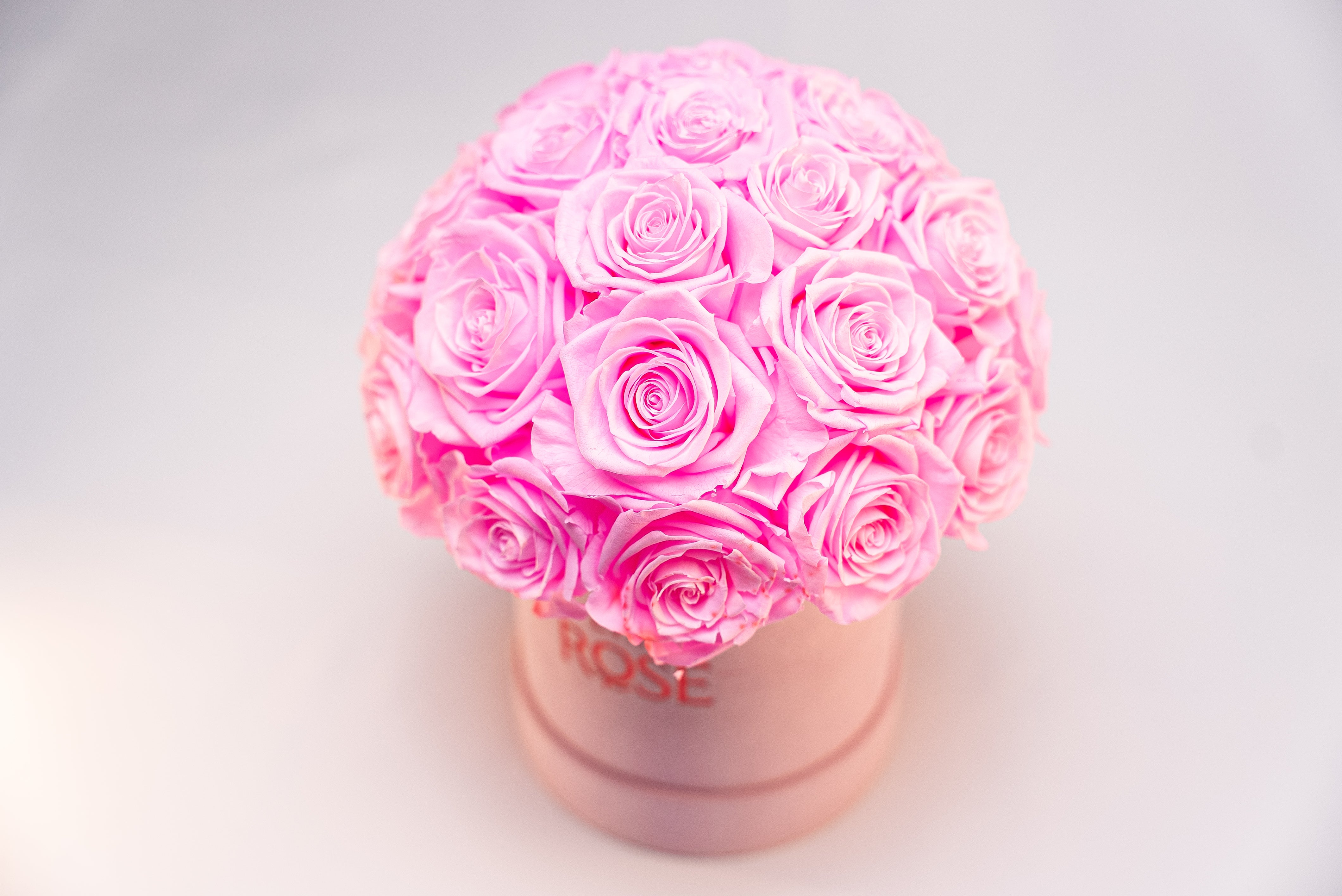 Domo de Rosas Preservadas — Pequeno | 25 Rosas Eternas